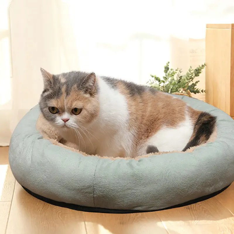 How Does a Car Pet Bed Improve Your Pet’s Comfort and Safety During Travel?