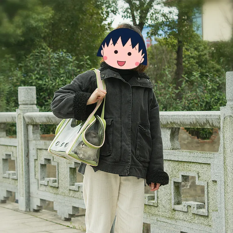 Windowed Shoulder Pet Carrier Bag